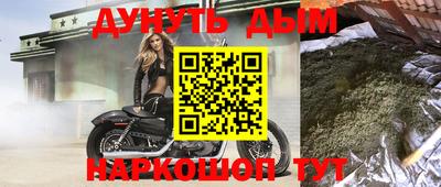 шишки Гай