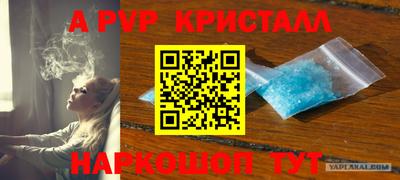 молекула духа Гатчина