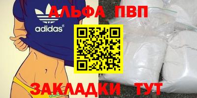 шишки Гай
