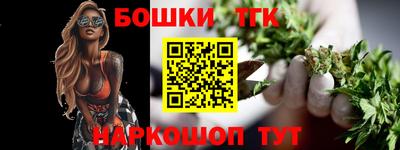шишки Гай