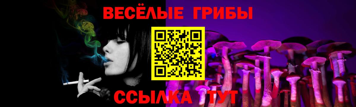 Зеленодольск  Галлюциногенные грибы Cubensis  дарнет шоп  Вход с VPN  Псилоцибиновые грибы ЛСД 